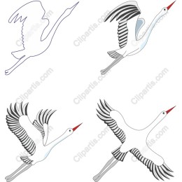 Elegant Stork Collection