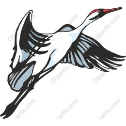 Elegant Cranes