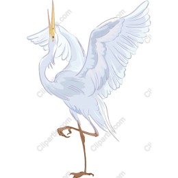 Elegant Crane