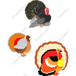 Thanksgiving Turkey Set