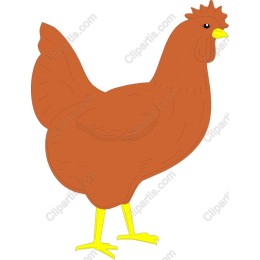 Warm Brown Chicken