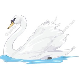 Majestic Swan