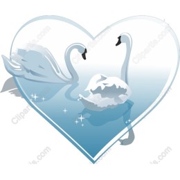 Elegant Swan in Heart
