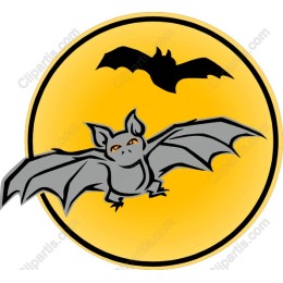 Cheerful Bat