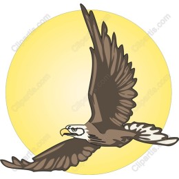 Majestic Eagle