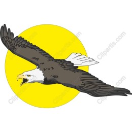 Soaring Eagle