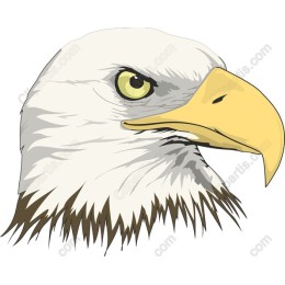 Majestic Eagle