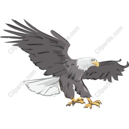 Majestic Soaring Eagle