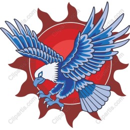 Majestic Soaring Eagle