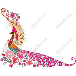 Elegant Peacock