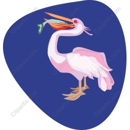 Charming Pink Pelican