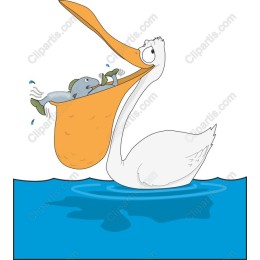 Playful Pelican Catching Fish
