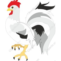 Colorful Rooster