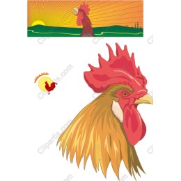 Majestic Rooster