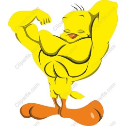 Dynamic Muscular Yellow Bird