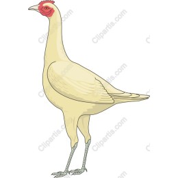 Elegant Chicken