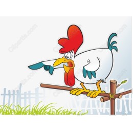Charming Rooster
