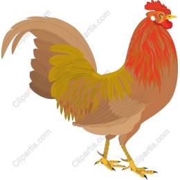 Proud Rooster