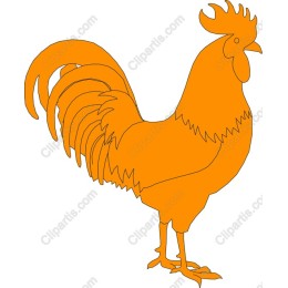 Vibrant Orange Rooster