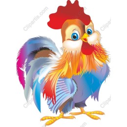 Colorful Rooster