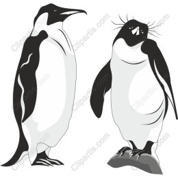 Charming Penguin Duo