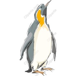 Charming Penguin
