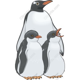Gentoo Penguin Family