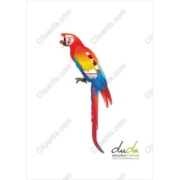 Vibrant Macaw