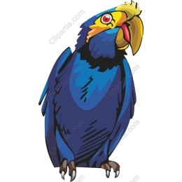 Vibrant Blue Parrot