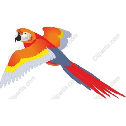 Vibrant Macaw