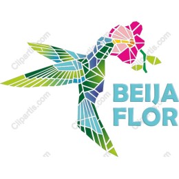 Beija Flor - Hummingbird
