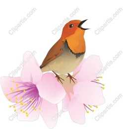 Bird and Floral