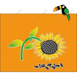 Vibrant Sunflower and Toucan