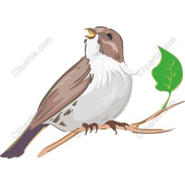Nature-Inspired Bird