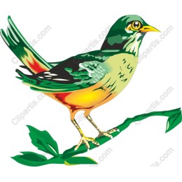 Vibrant Bird Perched on Branch