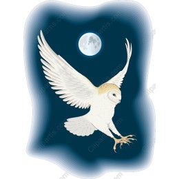 Majestic Barn Owl in Flight