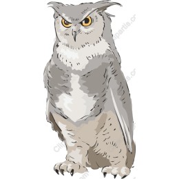 Majestic Owl