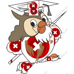 Swiss Owl