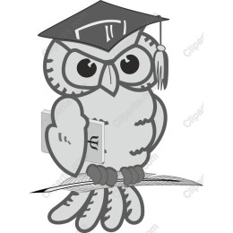 Graduation Owl