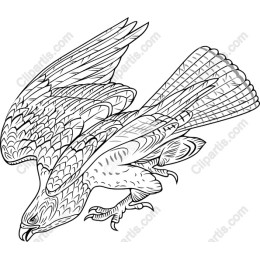 Majestic Hawk