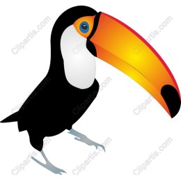 Vibrant Toucan
