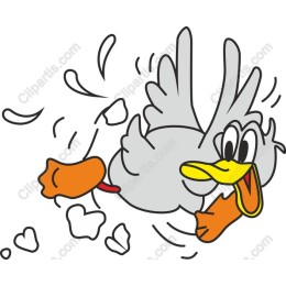 Flying Duck