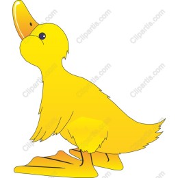 Adorable Yellow Duck