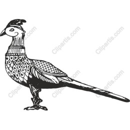 Vintage Bird
