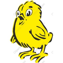 Charming Yellow Chick
