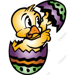 Adorable Baby Chick Emerging from Colorful Egg