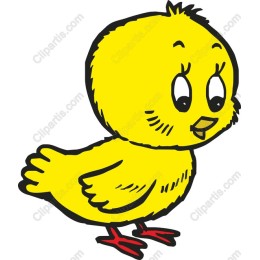 Adorable Yellow Chick