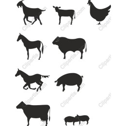 Farm Animal Set