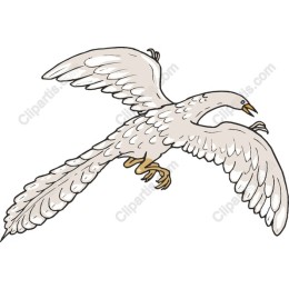 Majestic Soaring Bird