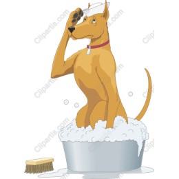 Playful Dog Bath